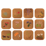 月替りの三味胴 5月の絵柄「皐月」